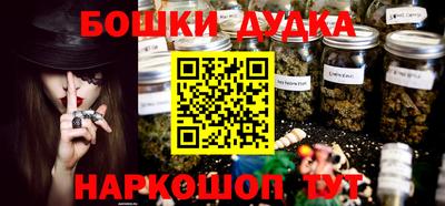 МДПВ Дубна