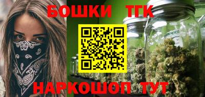 МДПВ Дубна