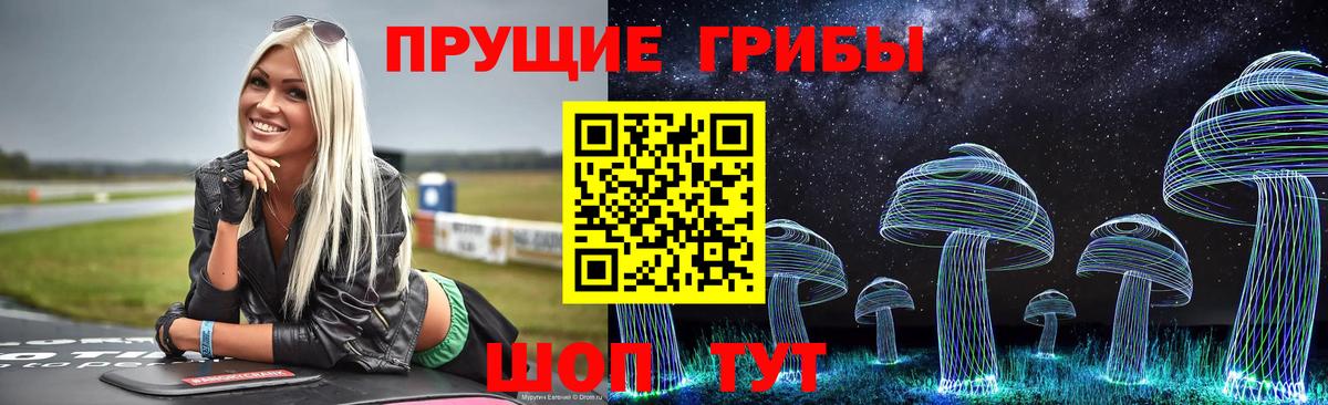 Галлюциногенные грибы Cubensis  Галлюциногенные грибы Psilocybine cubensis  как найти   Грязи  Вход с VPN 